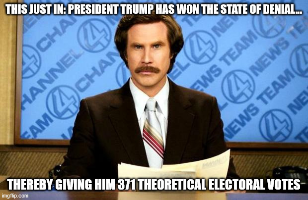 BREAKING NEWS | THIS JUST IN: PRESIDENT TRUMP HAS WON THE STATE OF DENIAL... THEREBY GIVING HIM 371 THEORETICAL ELECTORAL VOTES | image tagged in breaking news,trump,election,loser | made w/ Imgflip meme maker