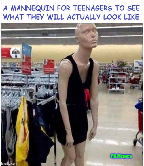 P.D.Memes | image tagged in funny memes,meme,teenagers,mannequin,dress,girl | made w/ Imgflip meme maker