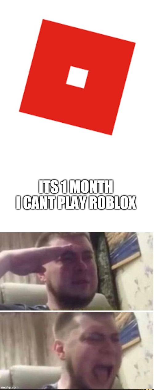 I SHOULD MAKE THIS MEME 1 MOTNH AGO | ITS 1 MONTH I CANT PLAY ROBLOX | image tagged in crying salute,roblox | made w/ Imgflip meme maker