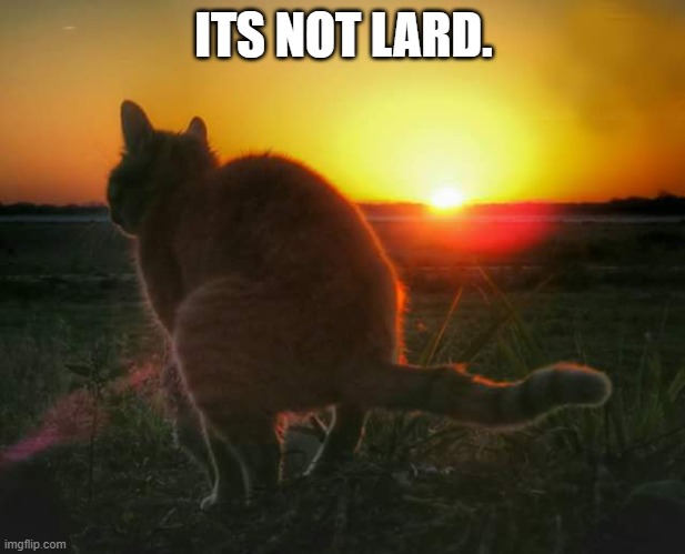 cat pooping and sunset | ITS NOT LARD. | image tagged in cat pooping and sunset | made w/ Imgflip meme maker
