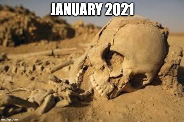 Desert Bones | JANUARY 2021 | image tagged in desert bones | made w/ Imgflip meme maker