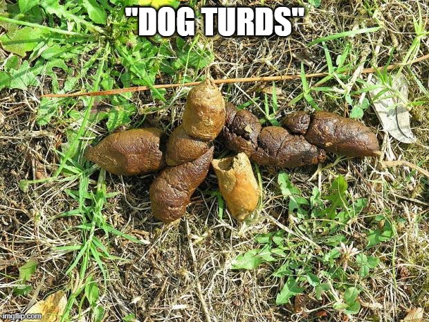 dog turd | "DOG TURDS" | image tagged in dog turd | made w/ Imgflip meme maker