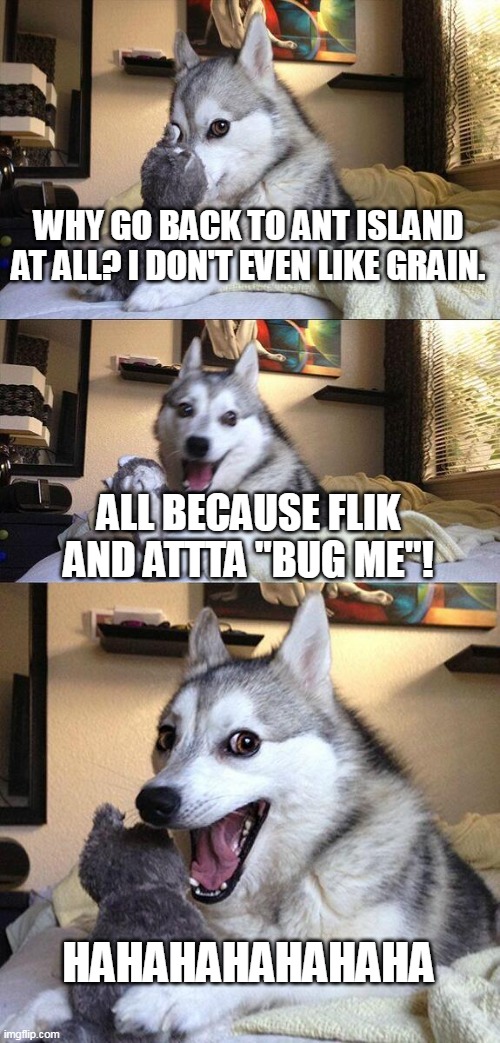 A Bug's Dog Pun | WHY GO BACK TO ANT ISLAND AT ALL? I DON'T EVEN LIKE GRAIN. ALL BECAUSE FLIK AND ATTTA "BUG ME"! HAHAHAHAHAHAHA | image tagged in memes,bad pun dog | made w/ Imgflip meme maker