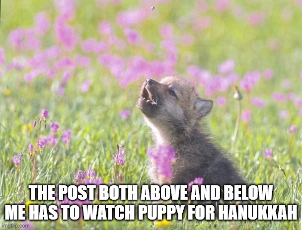 Baby Insanity Wolf | THE POST BOTH ABOVE AND BELOW ME HAS TO WATCH PUPPY FOR HANUKKAH | image tagged in memes,baby insanity wolf | made w/ Imgflip meme maker