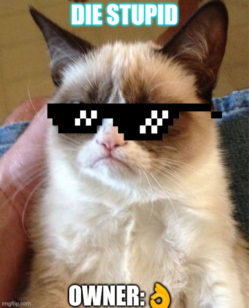 Grumpy Cat | DIE STUPID; OWNER:👌 | image tagged in memes,grumpy cat | made w/ Imgflip meme maker