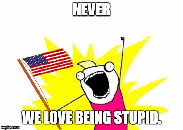 X All The Y, With USA Flag | NEVER WE LOVE BEING STUPID. | image tagged in x all the y with usa flag | made w/ Imgflip meme maker