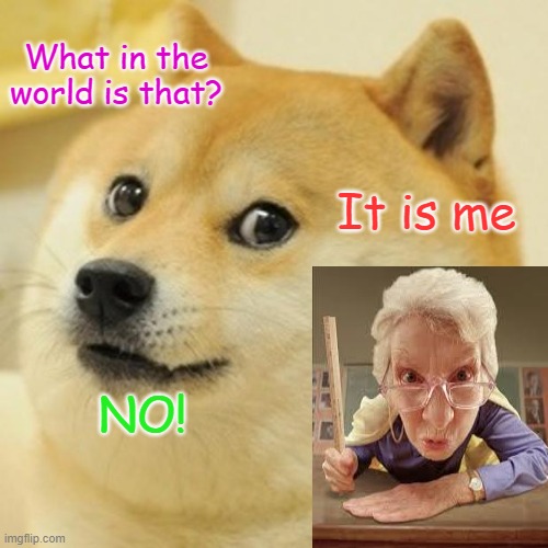 Doge | What in the world is that? It is me; NO! | image tagged in memes,doge | made w/ Imgflip meme maker