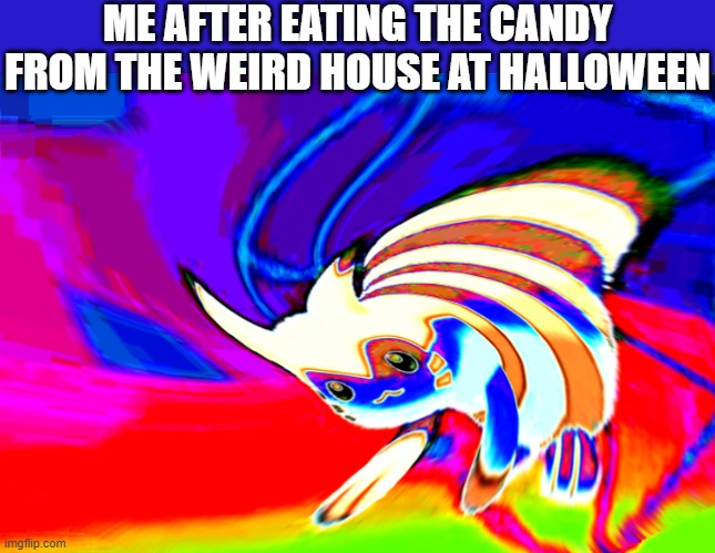 Cursed Furret | ME AFTER EATING THE CANDY FROM THE WEIRD HOUSE AT HALLOWEEN | image tagged in cursed furret,i'm 15 so don't try it,who reads these | made w/ Imgflip meme maker