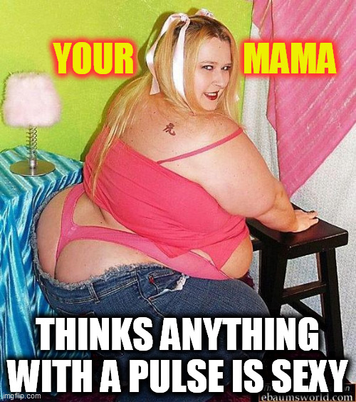 Fat Woman | YOUR                MAMA THINKS ANYTHING
WITH A PULSE IS SEXY | image tagged in fat woman | made w/ Imgflip meme maker