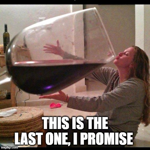 Wine Drinker | THIS IS THE LAST ONE, I PROMISE | image tagged in wine drinker | made w/ Imgflip meme maker