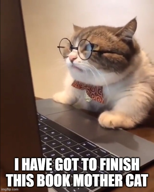 research cat |  I HAVE GOT TO FINISH THIS BOOK MOTHER CAT | image tagged in research cat | made w/ Imgflip meme maker