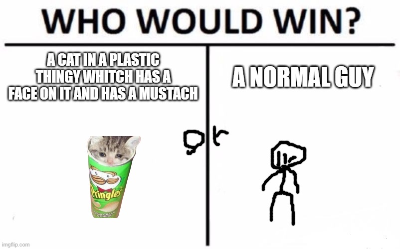 idk basically | A CAT IN A PLASTIC THINGY WHITCH HAS A FACE ON IT AND HAS A MUSTACH; A NORMAL GUY | image tagged in memes,who would win | made w/ Imgflip meme maker