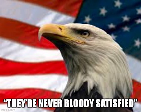 Murica Patriotic Eagle | “THEY’RE NEVER BLOODY SATISFIED” | image tagged in murica patriotic eagle | made w/ Imgflip meme maker