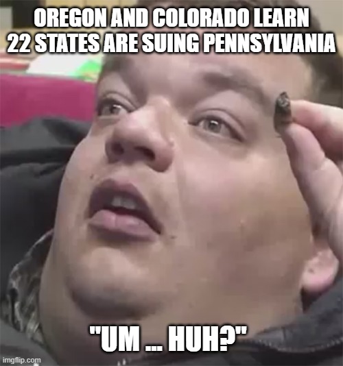 Don't worry.  The rest of us will take care of this. | OREGON AND COLORADO LEARN 22 STATES ARE SUING PENNSYLVANIA; "UM ... HUH?" | image tagged in stoned guy,pedo joe is not my president,keep america great | made w/ Imgflip meme maker