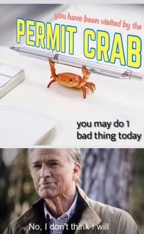 image tagged in permit crab | made w/ Imgflip meme maker