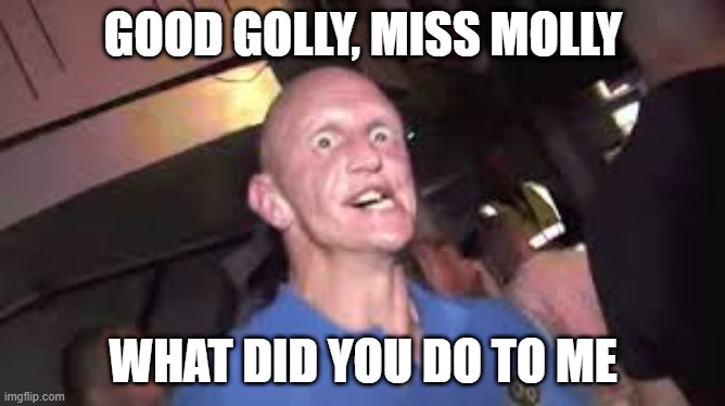 good golly miss molly | GOOD GOLLY, MISS MOLLY; WHAT DID YOU DO TO ME | image tagged in ecstasy,raver | made w/ Imgflip meme maker