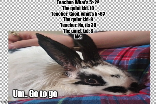 Oh god | Teacher: What's 5×2?
The quiet kid: 10
Teacher: Good, what's 5×6?
The quiet kid: 9
Teacher: No, its 30
The quiet kid: 8
Me:; Um.. Go to go | image tagged in free,rabbits | made w/ Imgflip meme maker