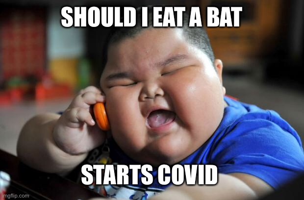 Fat Asian Kid | SHOULD I EAT A BAT; STARTS COVID | image tagged in fat asian kid | made w/ Imgflip meme maker