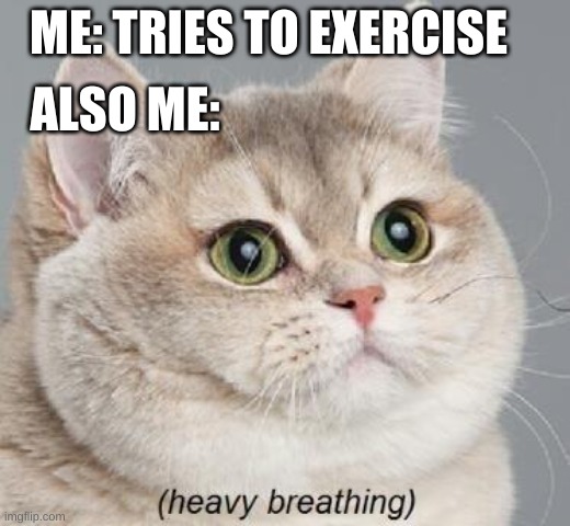 Exercising makes me tired | ALSO ME:; ME: TRIES TO EXERCISE | image tagged in memes,heavy breathing cat | made w/ Imgflip meme maker