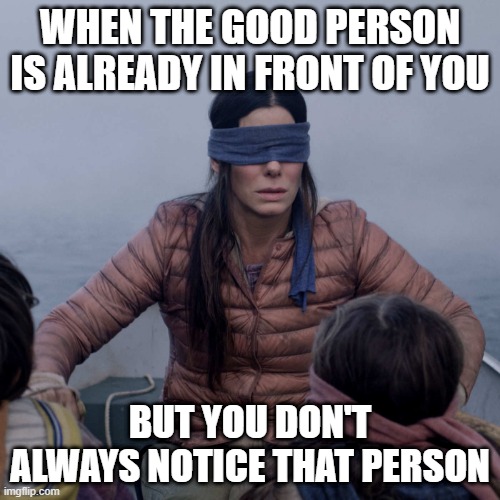 We always missed the good in front of us | WHEN THE GOOD PERSON IS ALREADY IN FRONT OF YOU; BUT YOU DON'T ALWAYS NOTICE THAT PERSON | image tagged in memes,bird box | made w/ Imgflip meme maker