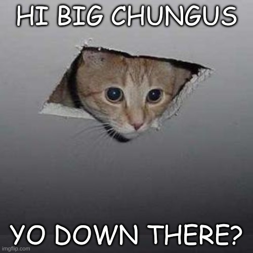 Ceiling Cat Meme | HI BIG CHUNGUS; YO DOWN THERE? | image tagged in memes,ceiling cat | made w/ Imgflip meme maker