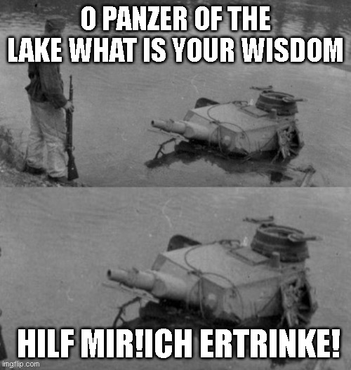 Panzer of the lake | O PANZER OF THE LAKE WHAT IS YOUR WISDOM; HILF MIR!ICH ERTRINKE! | image tagged in panzer of the lake | made w/ Imgflip meme maker