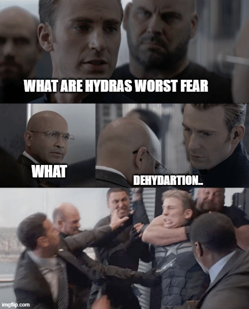 Captain america elevator |  WHAT ARE HYDRAS WORST FEAR; WHAT; DEHYDARTION.. | image tagged in captain america elevator | made w/ Imgflip meme maker