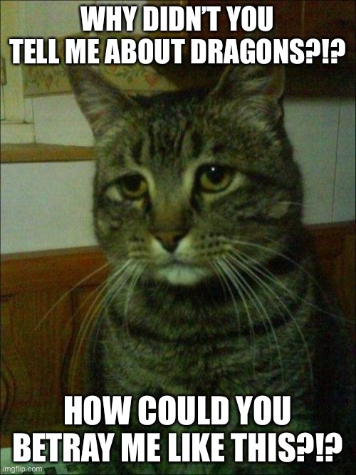 Dragons?!? | WHY DIDN’T YOU TELL ME ABOUT DRAGONS?!? HOW COULD YOU BETRAY ME LIKE THIS?!? | image tagged in memes,depressed cat | made w/ Imgflip meme maker