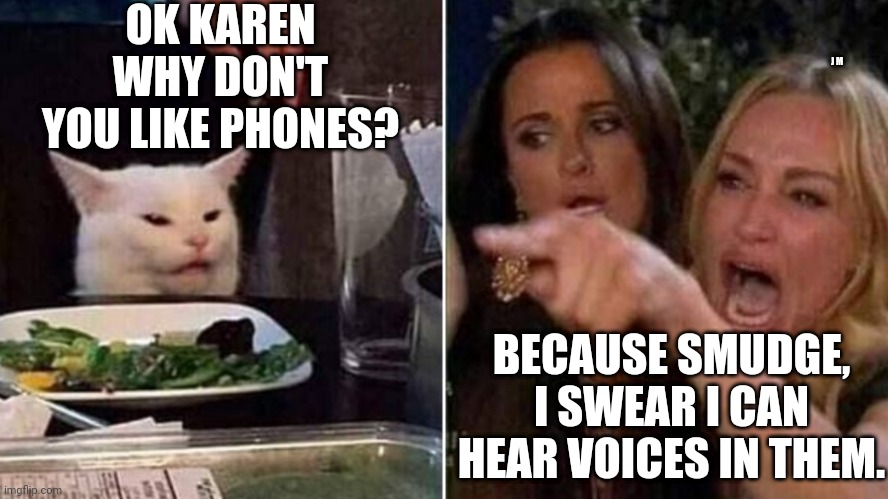Reverse Smudge and Karen | OK KAREN WHY DON'T YOU LIKE PHONES? J M; BECAUSE SMUDGE, I SWEAR I CAN HEAR VOICES IN THEM. | image tagged in reverse smudge and karen | made w/ Imgflip meme maker