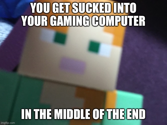 YOU GET SUCKED INTO YOUR GAMING COMPUTER; IN THE MIDDLE OF THE END | image tagged in alex | made w/ Imgflip meme maker