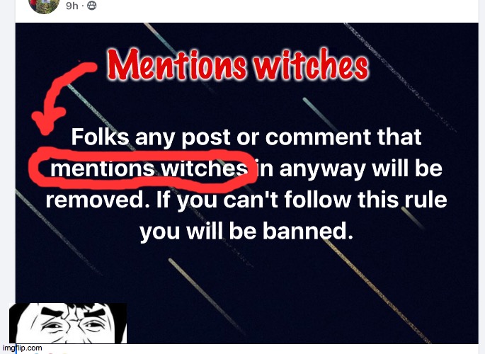 Which Witch | Mentions witches | image tagged in no witches,facebok,2020,what the fuck,funny,ok then | made w/ Imgflip meme maker