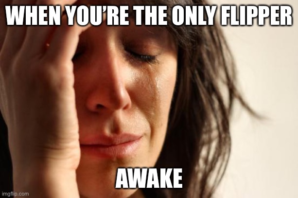 Ik this isn’t the case... | WHEN YOU’RE THE ONLY FLIPPER; AWAKE | image tagged in memes,first world problems,funny,true,imgflip users,late night | made w/ Imgflip meme maker