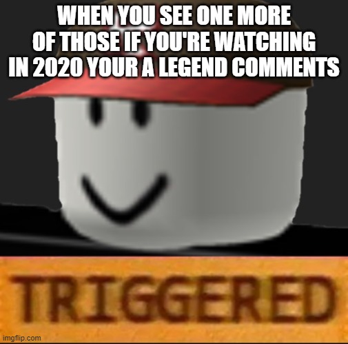 I h8 this | WHEN YOU SEE ONE MORE OF THOSE IF YOU'RE WATCHING IN 2020 YOUR A LEGEND COMMENTS | image tagged in roblox triggered | made w/ Imgflip meme maker