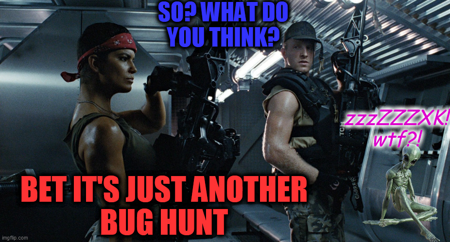 Bug hunt | SO? WHAT DO
YOU THINK? BET IT'S JUST ANOTHER
BUG HUNT zzzZZZXK!
wtf?! | image tagged in bug hunt | made w/ Imgflip meme maker