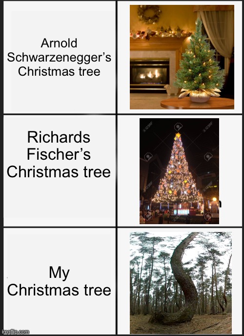 What my Christmas tree looks | Arnold Schwarzenegger’s Christmas tree; Richards Fischer’s Christmas tree; My Christmas tree | image tagged in memes,panik kalm panik,funny,funny memes,christmas tree,size matters | made w/ Imgflip meme maker
