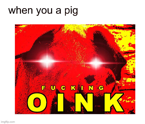 So all i have to say is  F U C K I N G     O  I  N  K | image tagged in fucking,pig | made w/ Imgflip meme maker