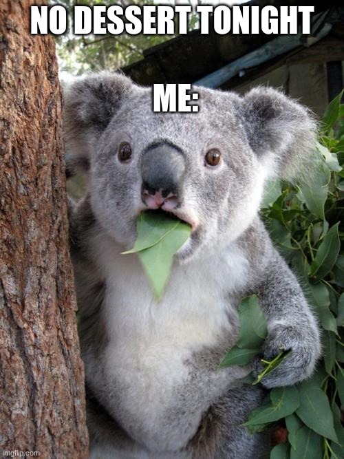 kOaLa | ME:; NO DESSERT TONIGHT | image tagged in memes,surprised koala | made w/ Imgflip meme maker