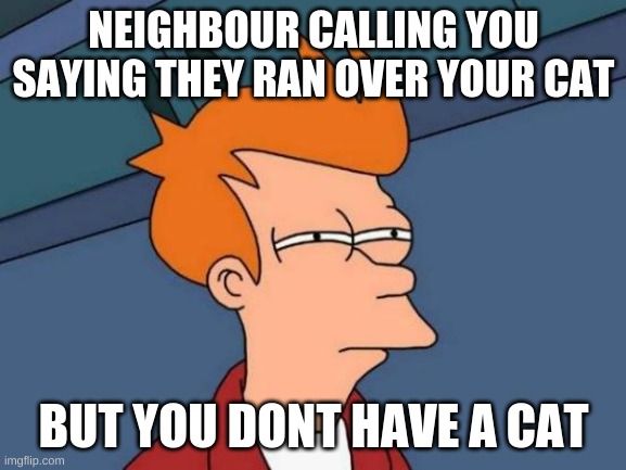 Futurama Fry | NEIGHBOUR CALLING YOU SAYING THEY RAN OVER YOUR CAT; BUT YOU DONT HAVE A CAT | image tagged in memes,futurama fry | made w/ Imgflip meme maker