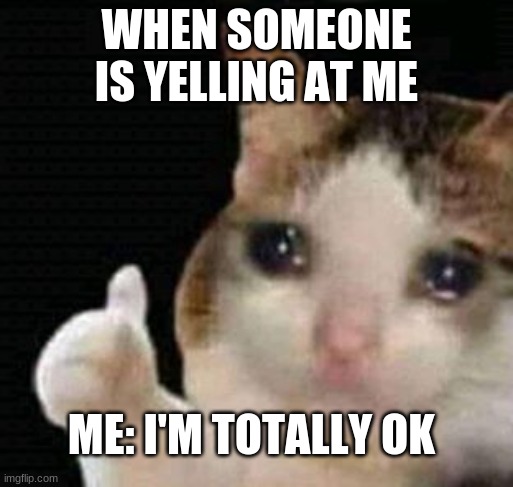 OK for me | WHEN SOMEONE IS YELLING AT ME; ME: I'M TOTALLY OK | image tagged in sad thumbs up cat | made w/ Imgflip meme maker