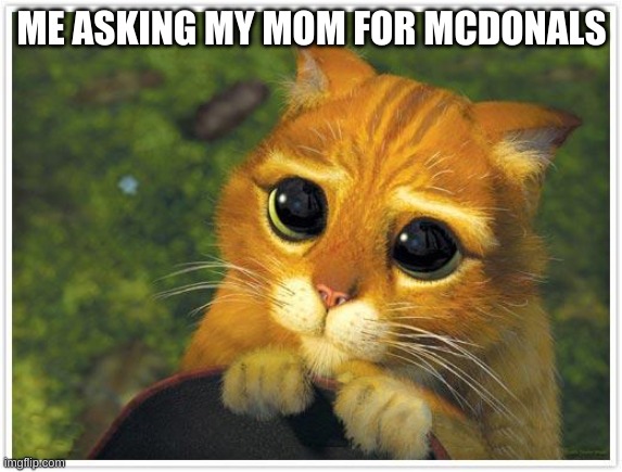 Shrek Cat Meme | ME ASKING MY MOM FOR MCDONALS | image tagged in memes,shrek cat | made w/ Imgflip meme maker