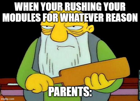 Modules | WHEN YOUR RUSHING YOUR MODULES FOR WHATEVER REASON; PARENTS: | image tagged in memes,that's a paddlin' | made w/ Imgflip meme maker