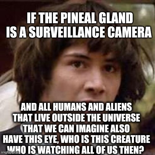 Conspiracy Keanu | IF THE PINEAL GLAND IS A SURVEILLANCE CAMERA; AND ALL HUMANS AND ALIENS THAT LIVE OUTSIDE THE UNIVERSE THAT WE CAN IMAGINE ALSO HAVE THIS EYE, WHO IS THIS CREATURE WHO IS WATCHING ALL OF US THEN? | image tagged in memes,conspiracy keanu | made w/ Imgflip meme maker