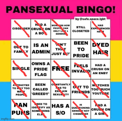 I had dyed pink hair and dyed silver hair before. Right now I have it dyed blue | image tagged in pansexual bingo,lgbt,lgbtq,gay | made w/ Imgflip meme maker