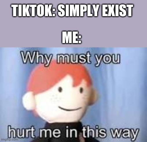 Why must you hurt me in this way | TIKTOK: SIMPLY EXIST; ME: | image tagged in why must you hurt me in this way | made w/ Imgflip meme maker