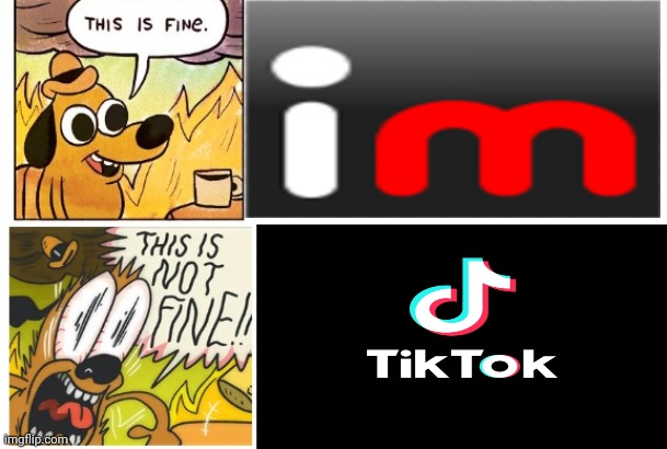 This is Fine, This is Not Fine | image tagged in this is fine this is not fine | made w/ Imgflip meme maker