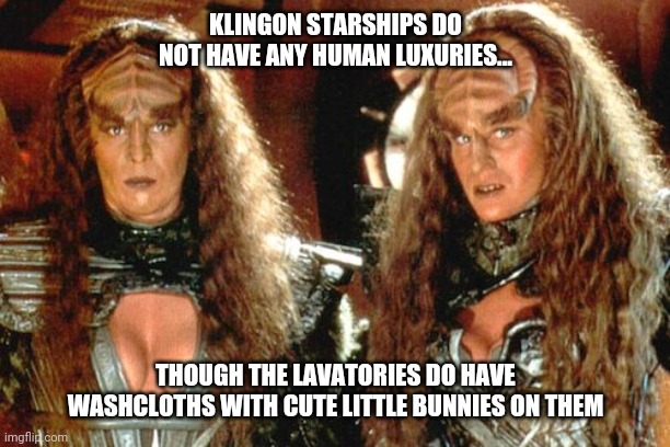 Klingon starship restrooms | KLINGON STARSHIPS DO NOT HAVE ANY HUMAN LUXURIES... THOUGH THE LAVATORIES DO HAVE WASHCLOTHS WITH CUTE LITTLE BUNNIES ON THEM | image tagged in just for fun | made w/ Imgflip meme maker