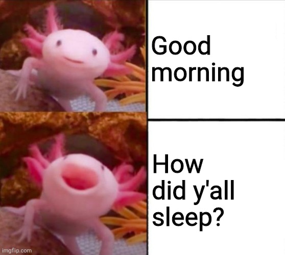 axolotl drake | Good morning; How did y'all sleep? | image tagged in axolotl drake | made w/ Imgflip meme maker