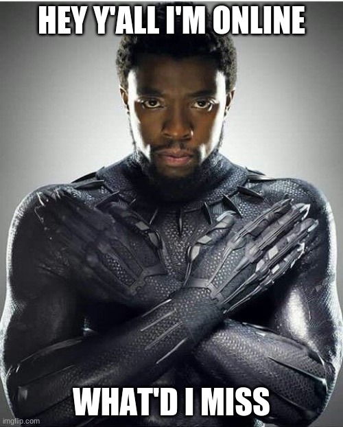 Chadwick Boseman | HEY Y'ALL I'M ONLINE; WHAT'D I MISS | image tagged in chadwick boseman | made w/ Imgflip meme maker