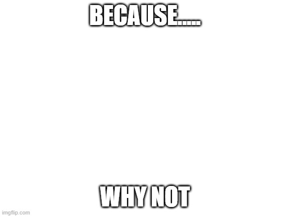 Blank White Template | BECAUSE..... WHY NOT | image tagged in blank white template | made w/ Imgflip meme maker