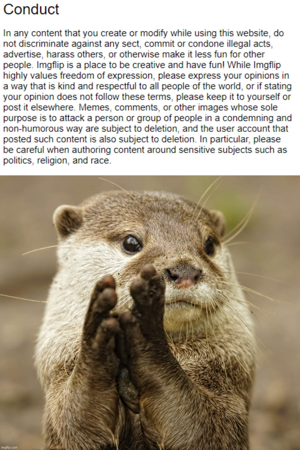 image tagged in imgflip tos conduct,squirrel applause | made w/ Imgflip meme maker